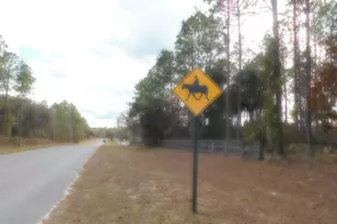 SE 120 Ct, Morriston, FL 32668 - Photo 1