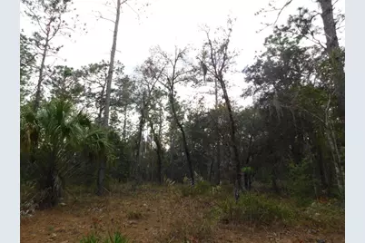 Se 120 Court, Morriston, FL 32668 - Photo 6