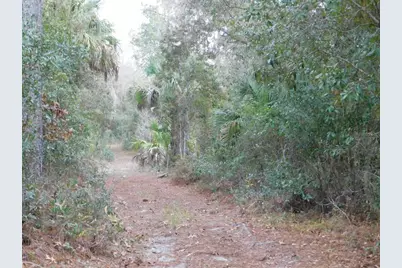 Se 120 Court, Morriston, FL 32668 - Photo 8