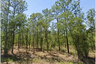 00 NW Narcissus Road, Dunnellon, FL 34431 - Photo 1