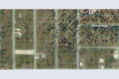 00 NW Narcissus Road, Dunnellon, FL 34431 - Photo 4