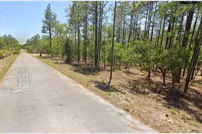 00 NW Narcissus Road, Dunnellon, FL 34431 - Photo 2