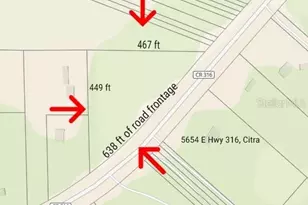 Tbd E Hwy 316, Citra, FL 32113 - Photo 1