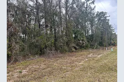 Tbd E Highway 316, Citra, FL 32113 - Photo 4