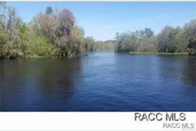 223 S Lincoln Avenue, Beverly Hills, FL 34465 - Photo 60