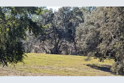 13260 SW 97th Place, Dunnellon, FL 34432 - Photo 58