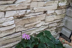 13260 SW 97th Pl, Dunnellon, FL 34432 - Photo 20