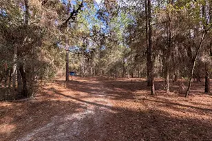 13260 SW 97th Pl, Dunnellon, FL 34432 - Photo 32