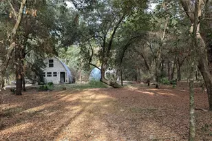 13260 SW 97th Pl, Dunnellon, FL 34432 - Photo 68