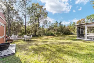 7 Bay Court Pass, Ocklawaha, FL 32179 - Photo 56
