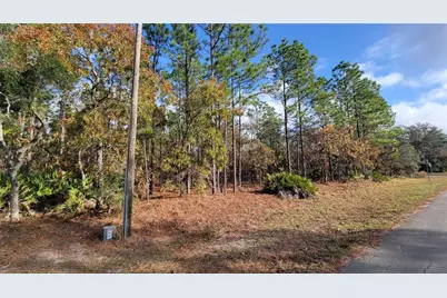 4312 N Deckwood Drive, Beverly Hills, FL 34465 - Photo 4