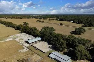 17885 NE 2nd Pl, Williston, FL 32696 - Photo 14