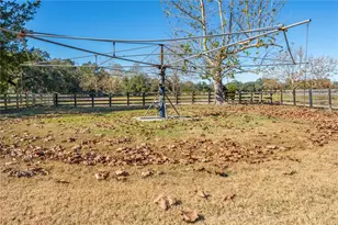 17885 NE 2nd Pl, Williston, FL 32696 - Photo 46