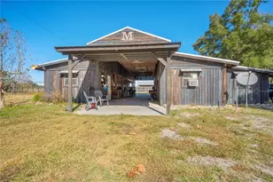 17885 NE 2nd Pl, Williston, FL 32696 - Photo 12