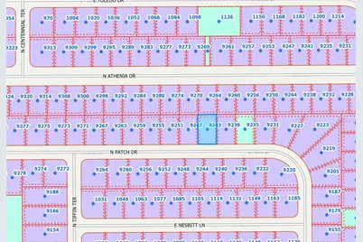 9243 N Patch Drive, Citrus Springs, FL 34434 - Photo 2