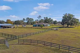 16421 W Hwy 326, Morriston, FL 32668 - Photo 10