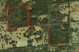 NW 115th Ave, Reddick, FL 32686 - Photo 1