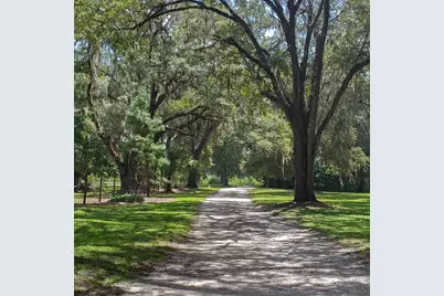 Nw 115th Avenue, Reddick, FL 32686 - Photo 4