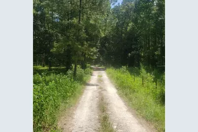 Nw 115th Avenue, Reddick, FL 32686 - Photo 6