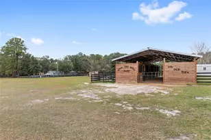 16254 NW 165th St, Williston, FL 32696 - Photo 2