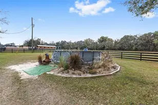16254 NW 165th St, Williston, FL 32696 - Photo 30