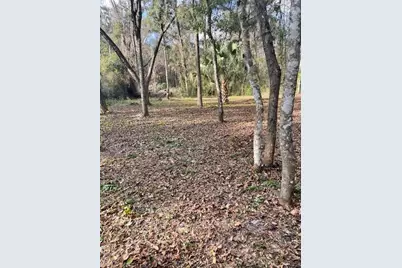 Ne 164 Lane, Citra, FL 32113 - Photo 2
