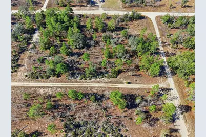 00 NE 150th Ave, Williston, FL 32696 - Photo 8