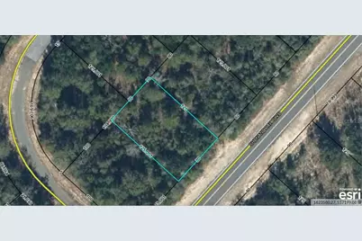 Lot 10 Unit 2 Blk 257 Shenandoah Boulevard, Chipley, FL 32428 - Photo 4