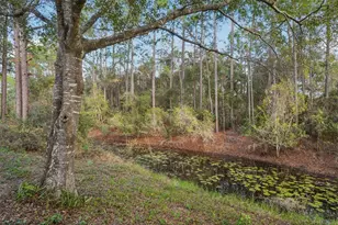 18628 SE 53rd Pl, Ocklawaha, FL 32179 - Photo 48