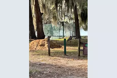 [Address not provided], Salt Springs, FL 32134 - Photo 18