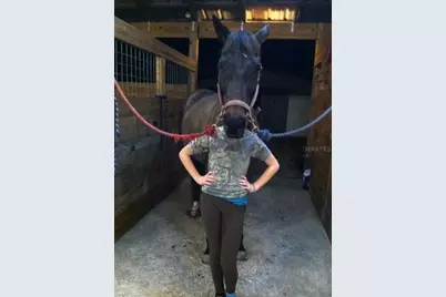 11375 N Circle M Avenue, Dunnellon, FL 34433 - Photo 48