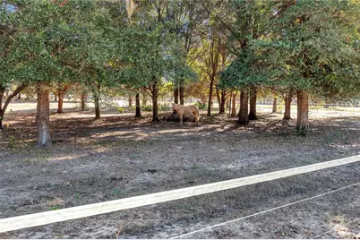 11375 N Circle M Avenue, Dunnellon, FL 34433 - Photo 30