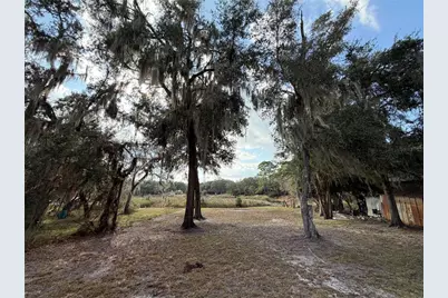 Tbd NE 152nd Lane, Salt Springs, FL 32134 - Photo 8