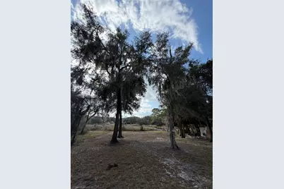 Tbd NE 152nd Lane, Salt Springs, FL 32134 - Photo 6