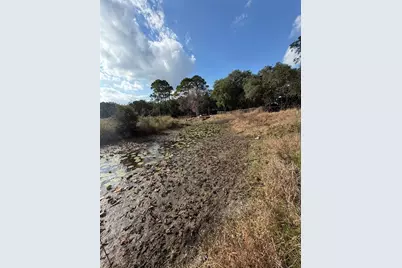 Tbd NE 152nd Lane, Salt Springs, FL 32134 - Photo 8