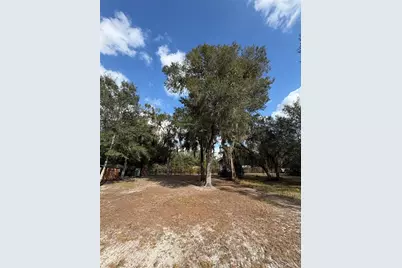 Tbd NE 152nd Lane, Salt Springs, FL 32134 - Photo 12