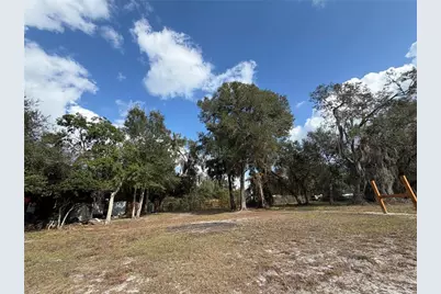 Tbd NE 152nd Lane, Salt Springs, FL 32134 - Photo 14