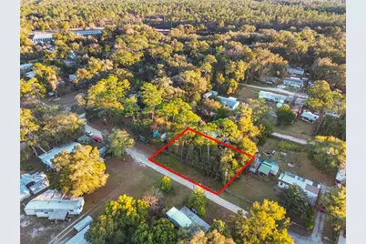000 NE 131st Lane, Salt Springs, FL 32134 - Photo 4