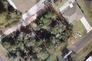 0 SW 168 Loop, Ocala, FL 34473 - Photo 1