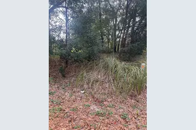 Tbd Dogwood Trail Place, Ocala, FL 34472 - Photo 4