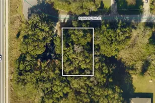 Tbd Dogwood Trail Pl, Ocala, FL 34472 - Photo 1