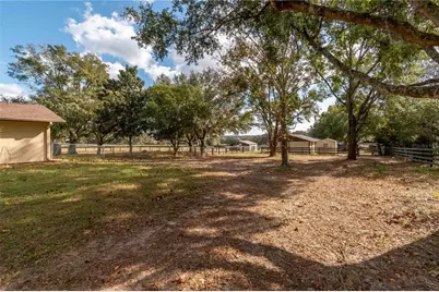 2902 Marion County Road, Weirsdale, FL 32195 - Photo 60