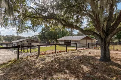 2902 Marion County Road, Weirsdale, FL 32195 - Photo 62