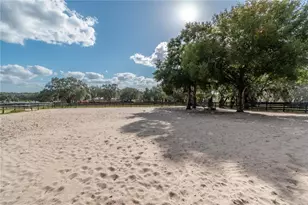 2902 Marion County Rd, Weirsdale, FL 32195 - Photo 68