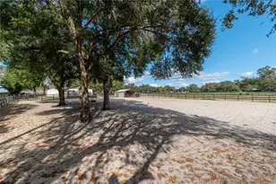 2902 Marion County Rd, Weirsdale, FL 32195 - Photo 70