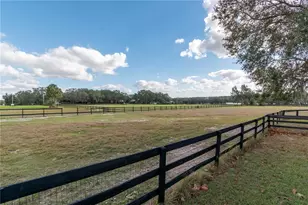 2902 Marion County Rd, Weirsdale, FL 32195 - Photo 74