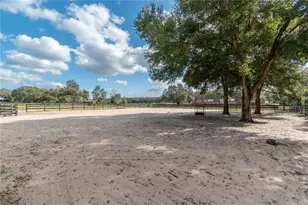 2902 Marion County Rd, Weirsdale, FL 32195 - Photo 74