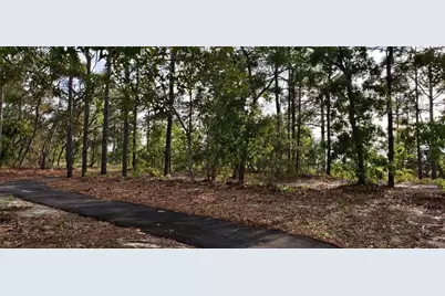 5543 Ocean Breeze Drive, Spring Hill, FL 34609 - Photo 8