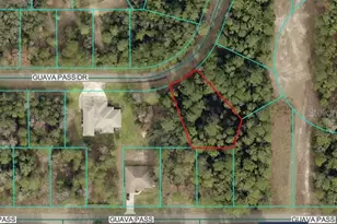 Lot 26 Guava Pass Dr, Ocklawaha, FL 32179 - Photo 1