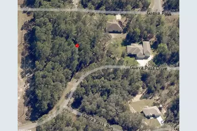 Lot 26 Guava Pass Drive, Ocklawaha, FL 32179 - Photo 4